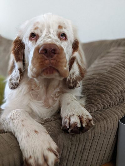 00100dPORTRAIT_00100_BURST20200903074606692_COVER